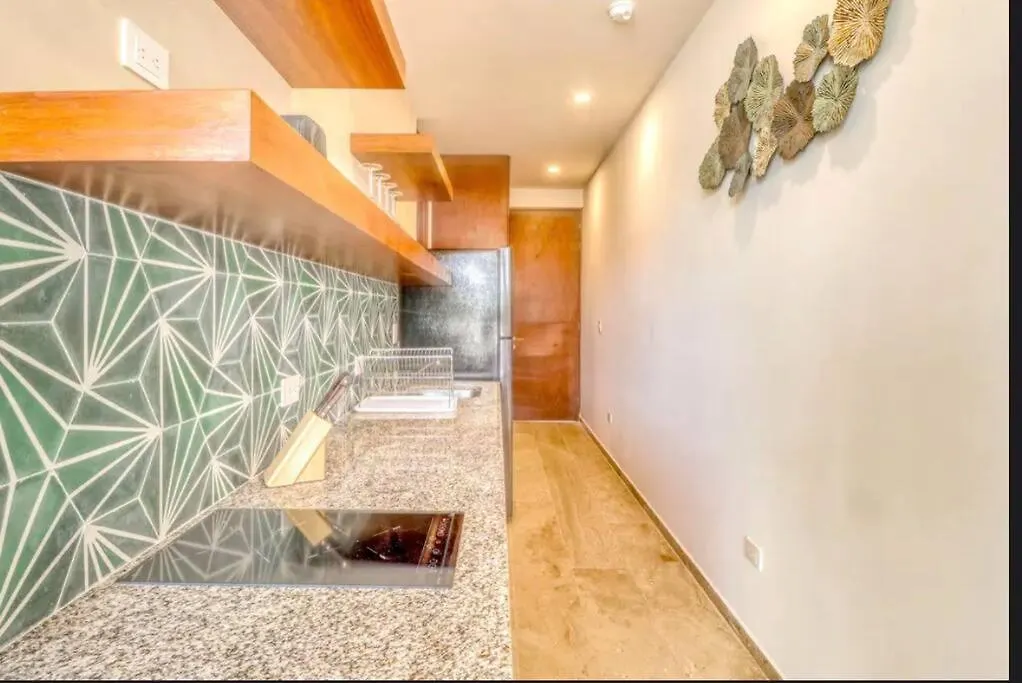 306 Amena 1Br Penthouse W/ Gym & Private Pool/Rooftop Appartement Tulum Pueblo